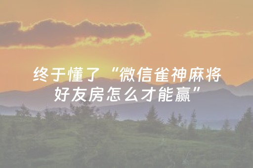 分享辅助“微信小程序微乐麻将胡牌神器（专用辅牌神器免安装）
