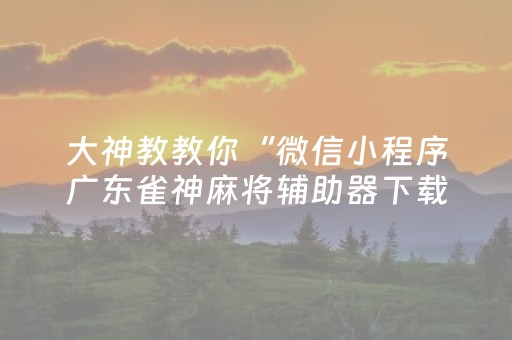 教程辅助“微信手机打麻将怎么赢（专用辅牌神器免安装）