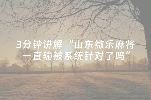 胜率设置方法“微乐福建麻将怎么设置会赢（专用辅牌神器免安装）