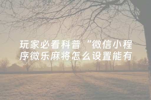 实测教程“手机控麻将机软件（专用辅牌神器免安装）