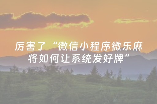 教程辅助“星悦陕西麻将有挂吗（专用辅牌神器免安装）