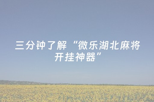胜率设置方法“手机斗地主怎么才能拿到好牌（专用辅牌神器免安装）