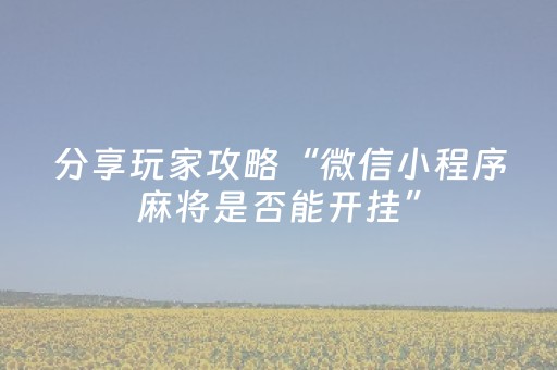 分享辅助“微信微乐麻将挂件神器（助赢神器通用版）