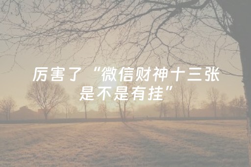 实测分享“微乐河南麻将斗地主助赢神器购买（专用辅牌神器免安装）