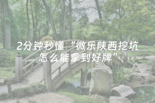 3分钟学会“微乐麻将怎样设置好牌（专用辅牌神器免安装）