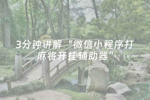 3分钟讲解“微信小程序打麻将开挂辅助器”（插件可信吗)