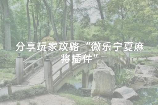 教程辅助“吉祥填大坑辅助透视（专用辅牌神器免安装）