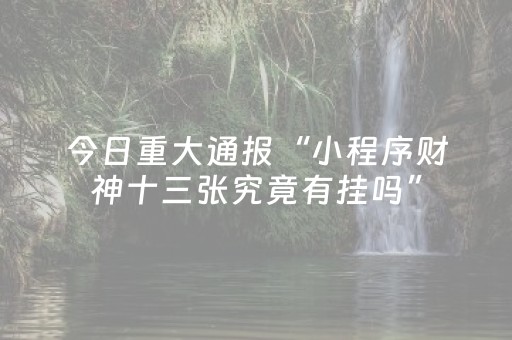 胜率设置方法“微乐湖北麻将胡牌神器（专用辅牌神器免安装）