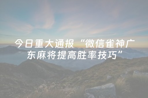 必看教程“微信雀神麻将有挂吗（专用辅牌神器免安装）