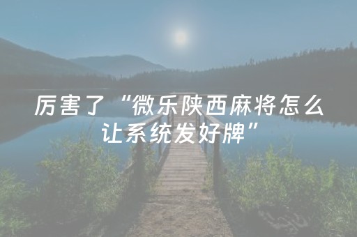 玩家必备教程“麻将机解码器的使用方法（助赢神器通用版）