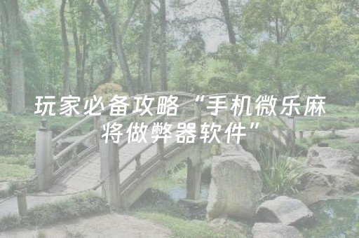 玩家必备教程“红包多雷挂多少钱”（详细透视教程）-哔哩哔哩