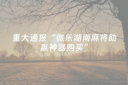 玩家必备教程“决胜麻将app插件（专用辅牌神器免安装）