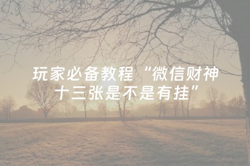 实测结果“麻将机程序安装器随身携带（专用辅牌神器免安装）