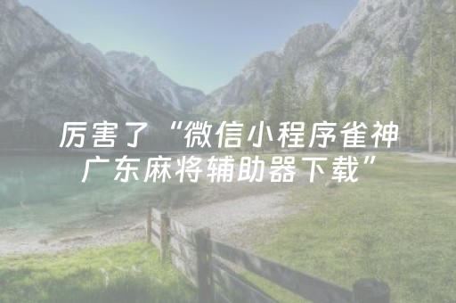 终于发现“微乐家乡麻将助赢神器购买（专用辅牌神器免安装）