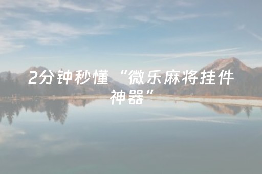 2分钟秒懂“微乐麻将挂件神器”（透明器教程)