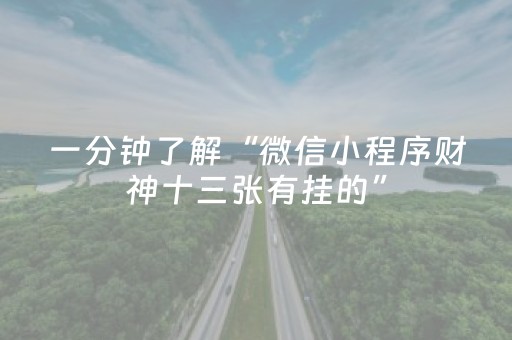 一分钟了解“微信小程序财神十三张有挂的”（装挂怎么安装)