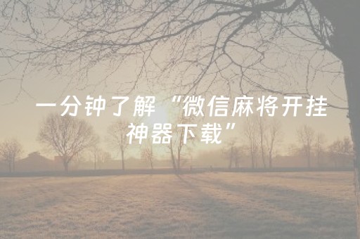 分享辅助“雀神小程序辅助app下载（助赢神器通用版）
