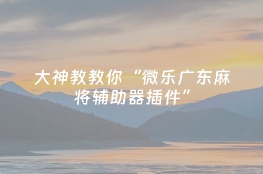 玩家必看攻略“手机打麻将有技巧吗（专用辅牌神器免安装）