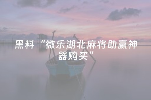 终于发现“微乐跑得快挂先试用后付款（专用辅牌神器免安装）