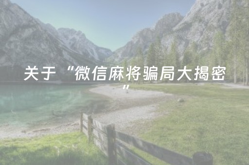 2分钟秒懂！“手机麻将开外挂流程”（详细开挂教程）-哔哩哔哩