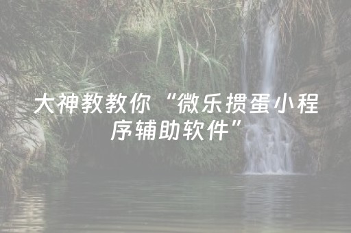 玩家实测“开心泉州麻将专用神器（助赢神器通用版）