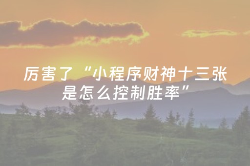 玩家实测“微乐胜率设置代码（专用辅牌神器免安装）