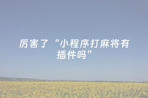 实测教程“微乐四川麻将挂件神器（专用辅牌神器免安装）