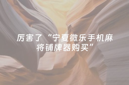 厉害了“宁夏微乐手机麻将铺牌器购买”（万能开挂神器)