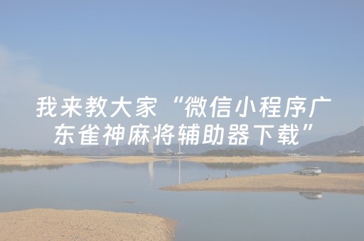 实测结果“麻友圈2辅助软件（专用辅牌神器免安装）