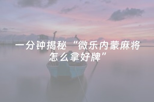 一分钟揭秘“微乐内蒙麻将怎么拿好牌”（辅助器下载)