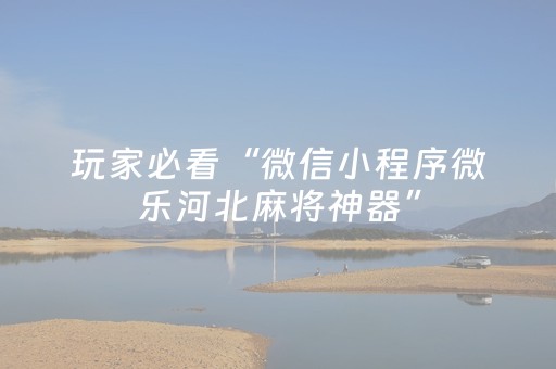 玩家必看“微信小程序微乐河北麻将神器”（助攻神器)