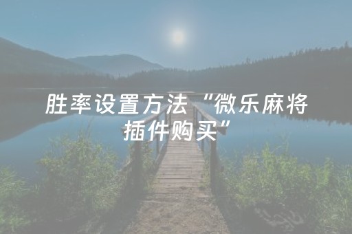 胜率设置方法“微乐麻将插件购买”（控牌神器)