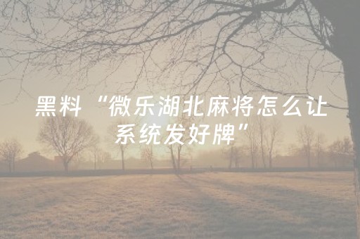 黑料“微乐湖北麻将怎么让系统发好牌”（做弊器软件下载)