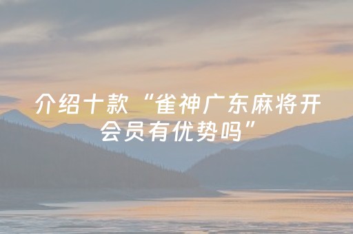 介绍十款“雀神广东麻将开会员有优势吗”（怎么让系统给你发好牌)