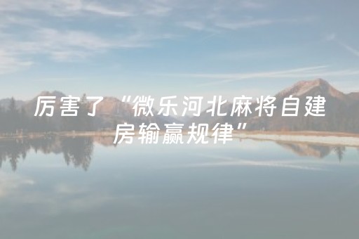 厉害了“微乐河北麻将自建房输赢规律”（如何提高胜率)