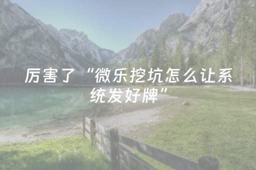 厉害了“微乐挖坑怎么让系统发好牌”（装挂怎么安装)