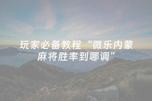 玩家必备教程“微乐内蒙麻将胜率到哪调”（专用神器)