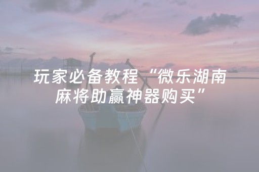 玩家必备教程“微乐湖南麻将助赢神器购买”（必赢神器免费安装)