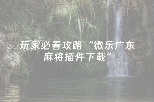 玩家必看攻略“微乐广东麻将插件下载”（攻略插件)