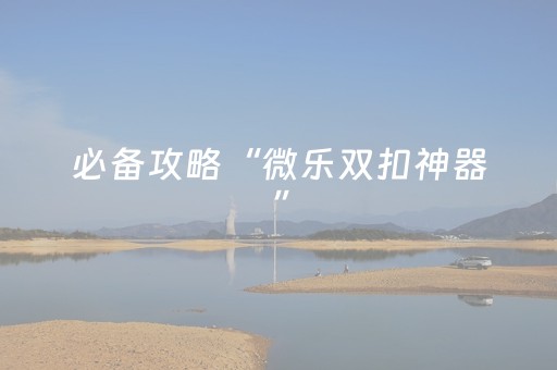 必备攻略“微乐双扣神器”（软件出售)