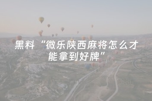 我来教大家“微乐甘肃麻将助赢神器购买（助赢神器通用版）