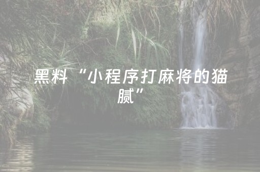 必看教程“微乐内蒙麻将专用神器（助赢神器通用版）
