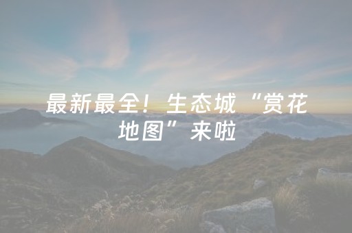 终于发现了“微乐江西麻将挂件神器（专用辅牌神器免安装）