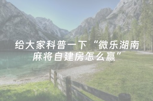 我来教大家“微乐湖北麻将专用神器（专用辅牌神器免安装）