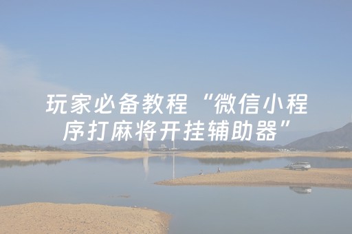 实测辅助“功夫川麻外挂设置（助赢神器通用版）
