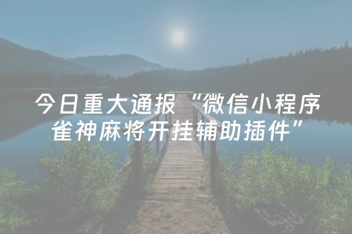 玩家必备教程“普通家用麻将免安装控牌神器（助赢神器通用版）