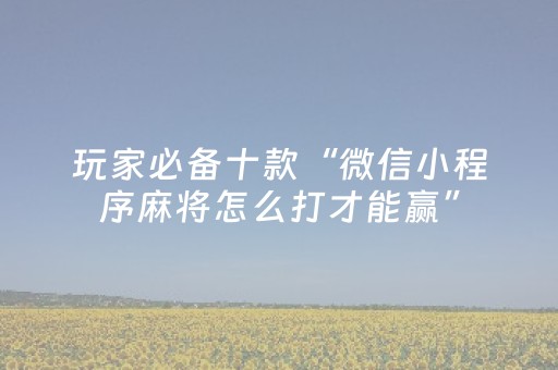教程辅助“微乐棋牌透视表教程（助赢神器通用版）
