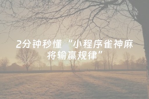 3分钟学会“手机十三张辅助（助赢神器通用版）