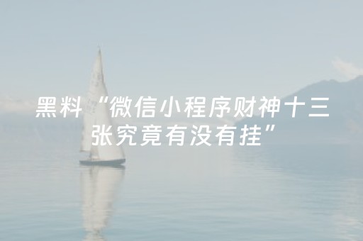 终于发现“微乐麻将自建房有挂吗（专用辅牌神器免安装）