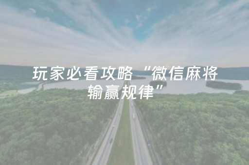玩家实测“东游麻将软件打牌技巧（专用辅牌神器免安装）